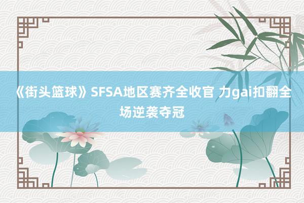 《街头篮球》SFSA地区赛齐全收官 力gai扣翻全场逆袭夺冠