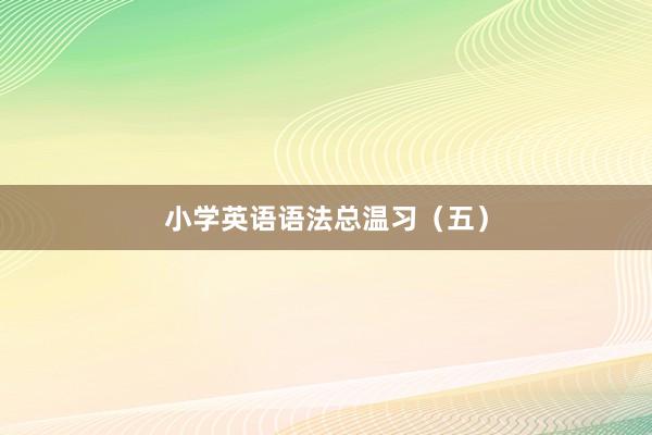 小学英语语法总温习（五）