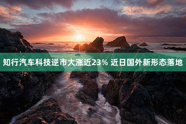 知行汽车科技逆市大涨近23% 近日国外新形态落地